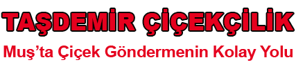 Muş çiçekçi